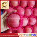 Factory Directly Supply Fresh Red FUJI Apple From Shandong